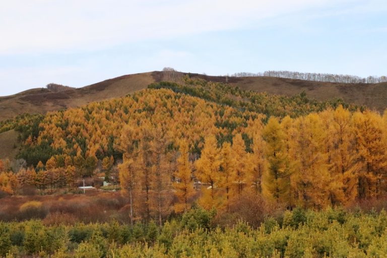 Embracing Nature: The Art of Mindful Travel